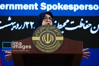 سخنگوی دولت: شرایطی که در مرز‌های جنوبی و دریا در جریان است بر درآمد ایران تاثیرگذار است