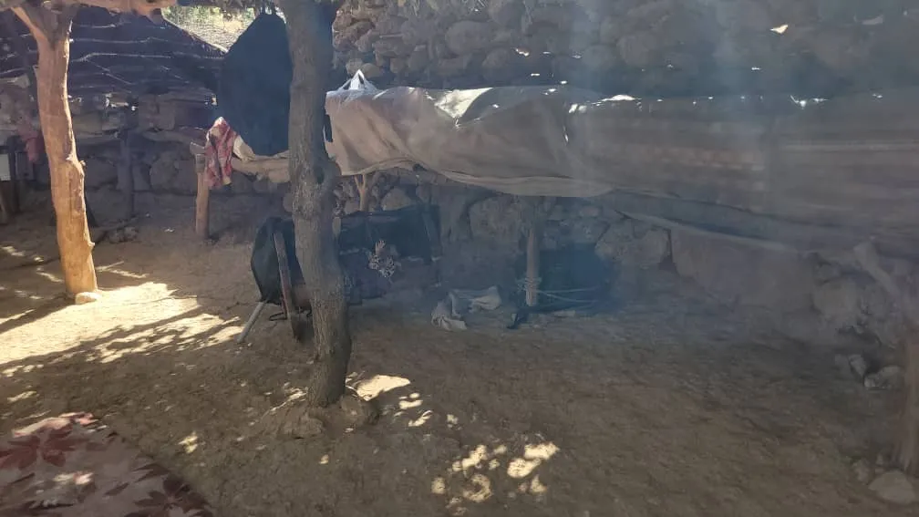 پلنگی